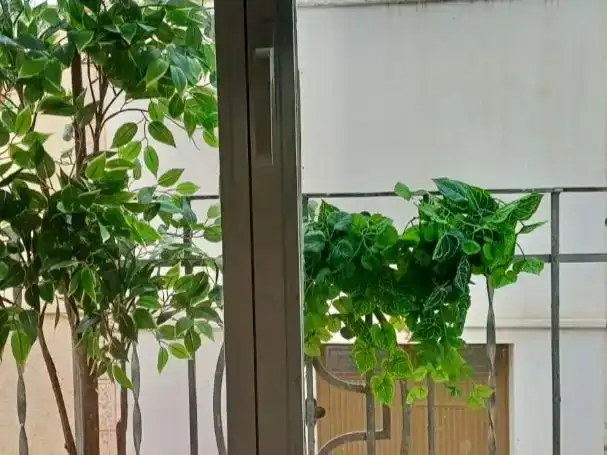 Balcony of Flat for sale in Almussafes, Valencia