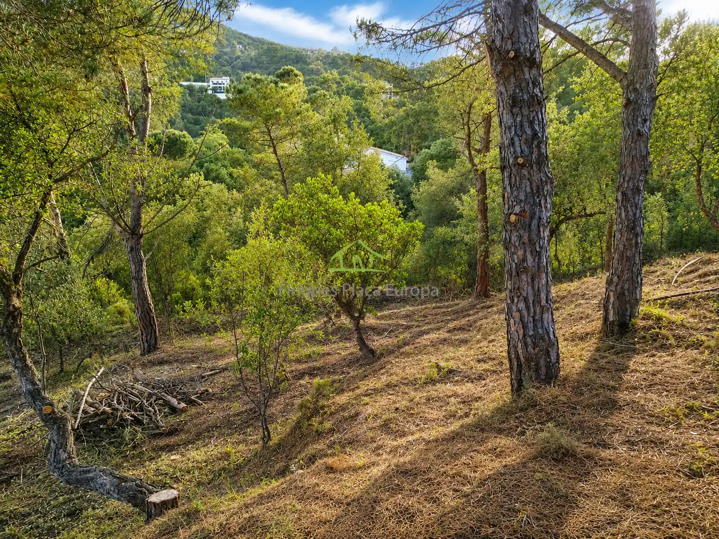 Terrenys i solars en venda a Mas Pere - Río de Oro, imagen 4