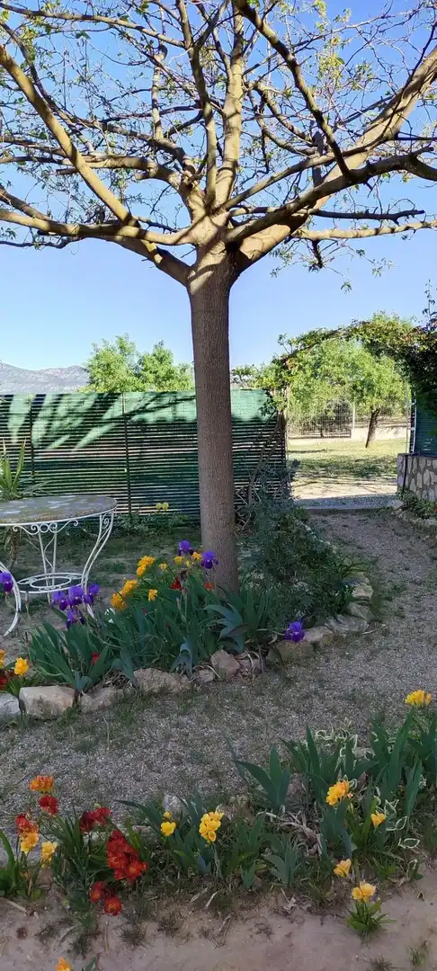 Country homes for sale in Garcia