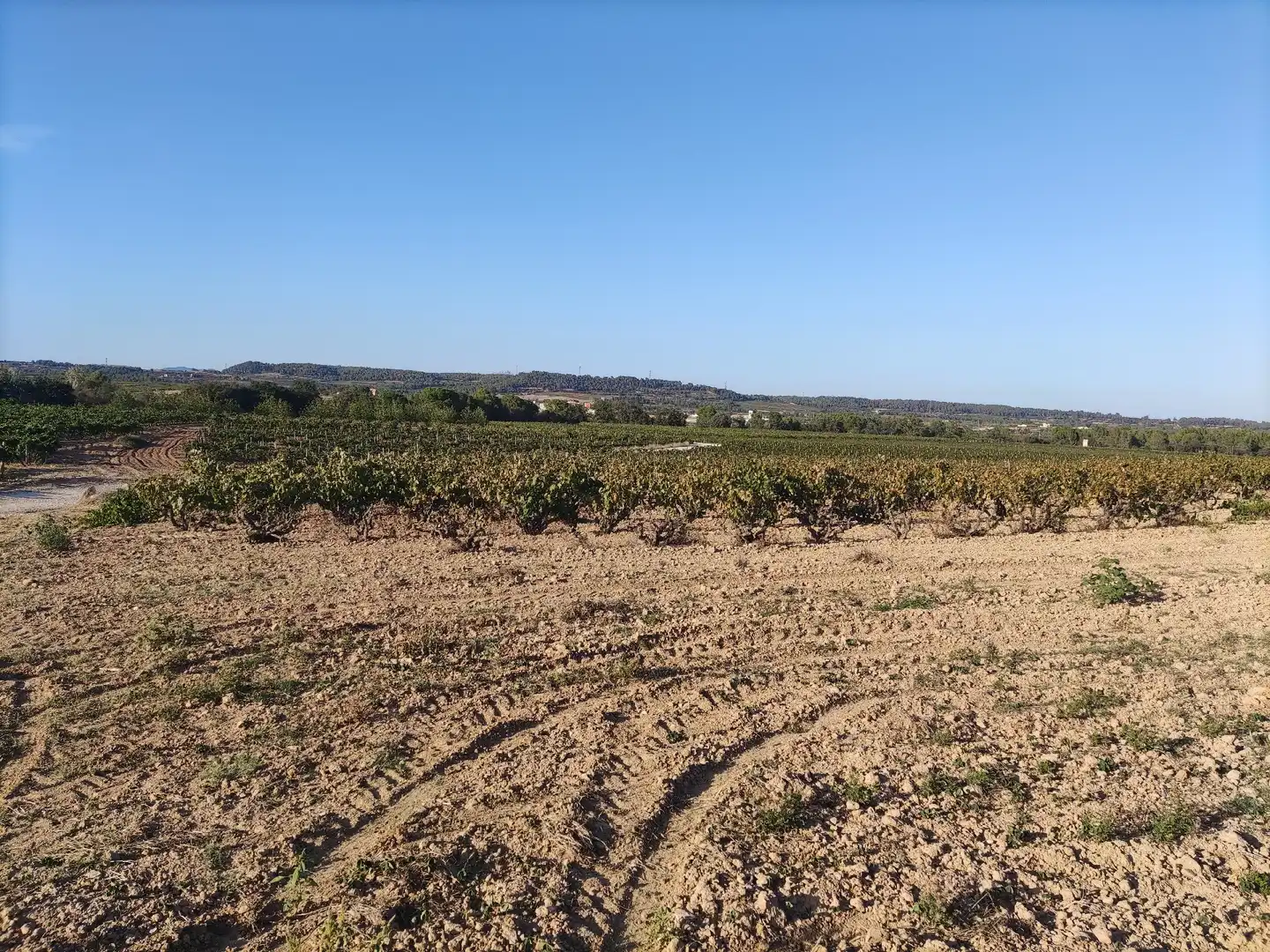 Residencial en venda a El Pla del Penedès