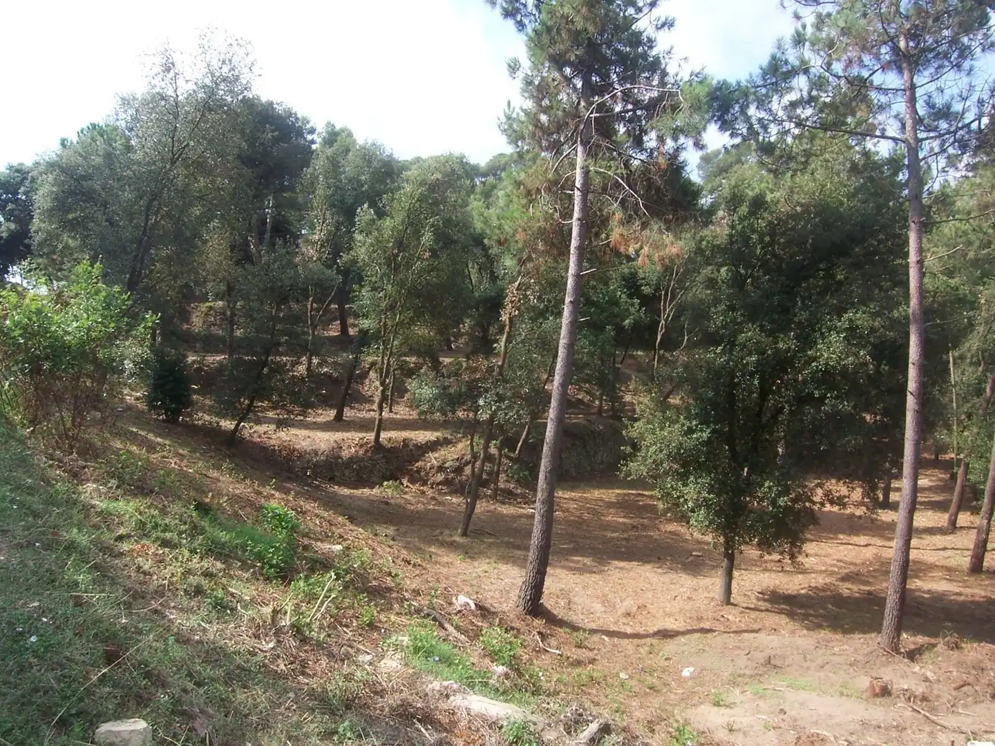 Terreno residencial en venta en Sant Fost de Campsentelles, imagen 5