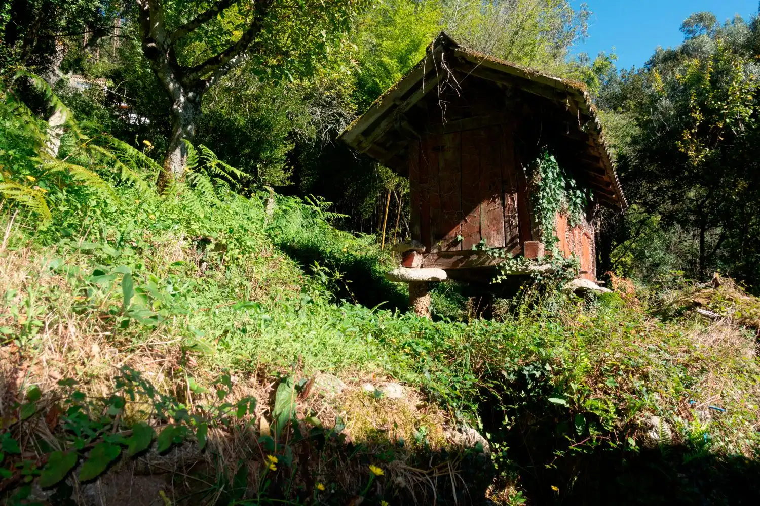 Maison à vendre à Covelo, imagen 29
