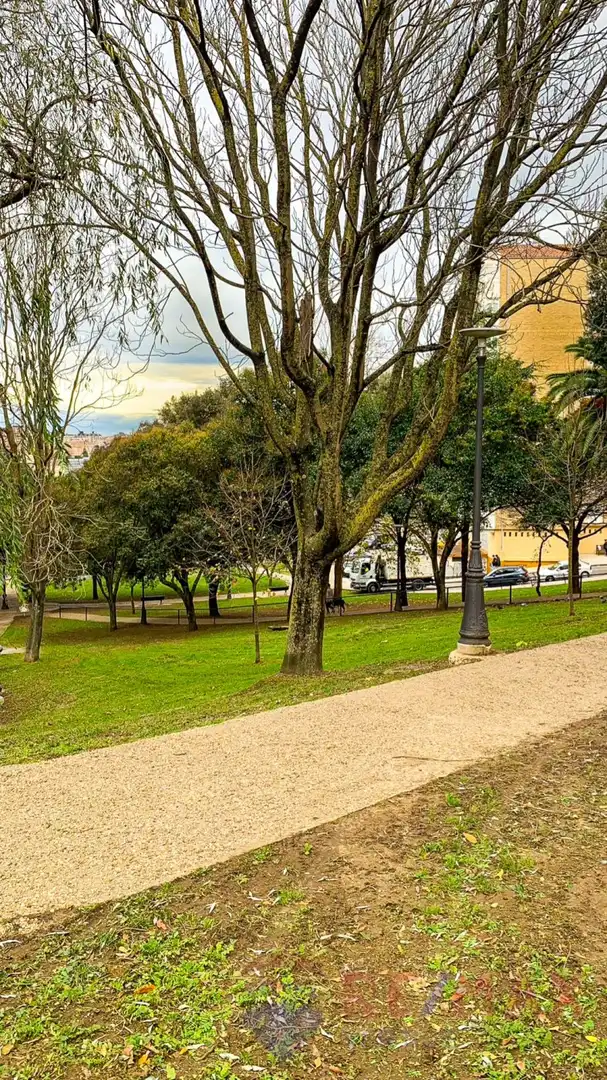 Vista exterior de Pis de lloguer en Santander amb Calefacció, Jardí privat i Terrassa