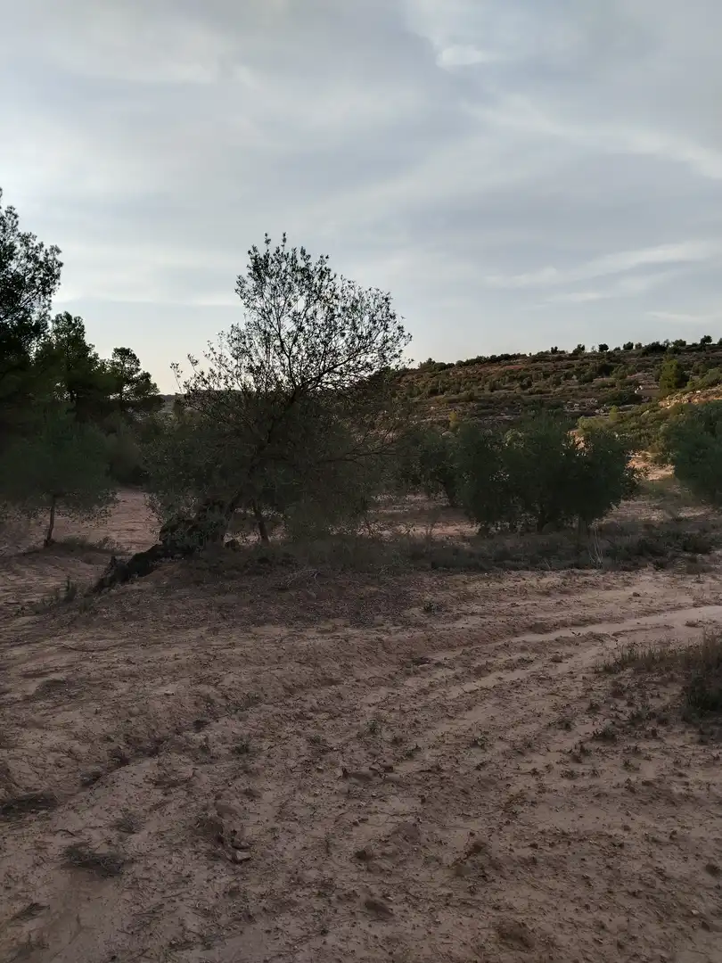 Terreno en venta en L'Albagés