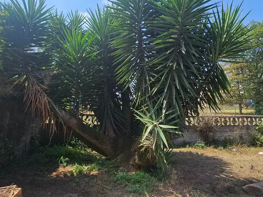 Casa o xalet en venda en Corvera de Asturias amb Balcó