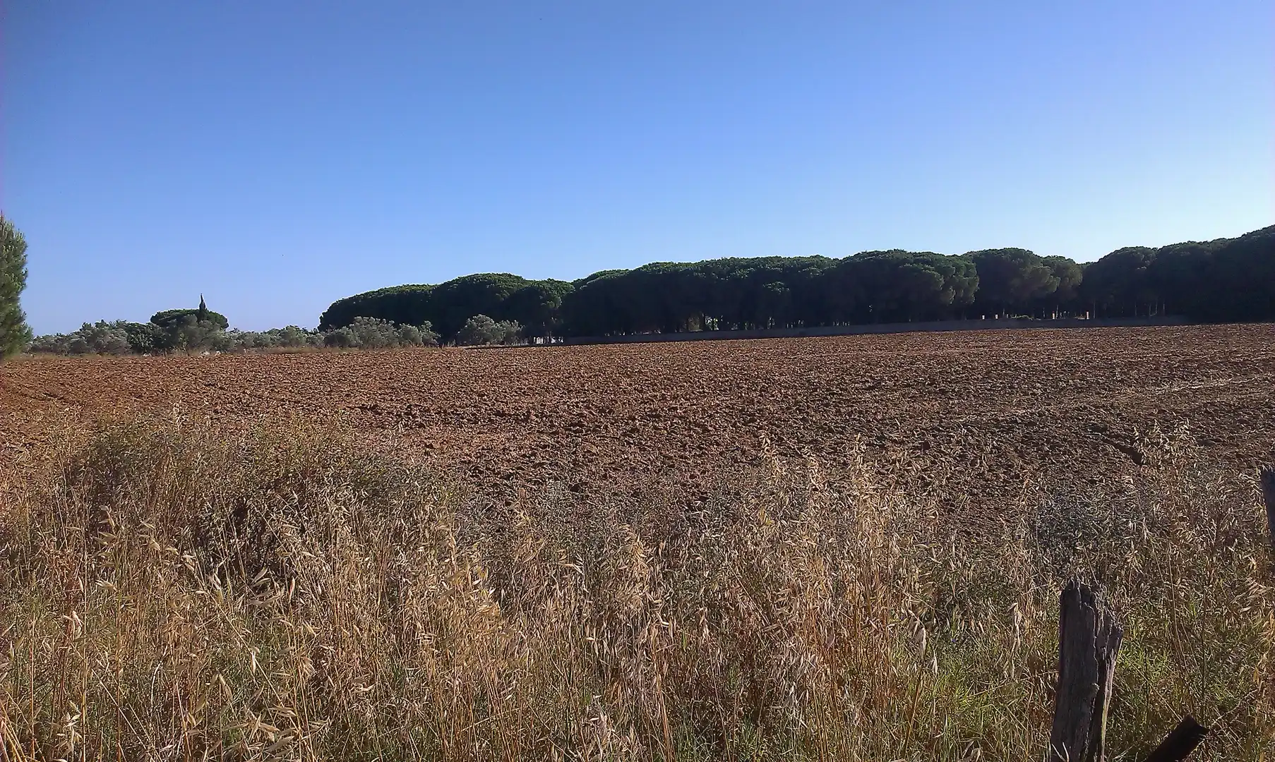 Rustikales Grundstück zum Verkauf in Camino de Jerez