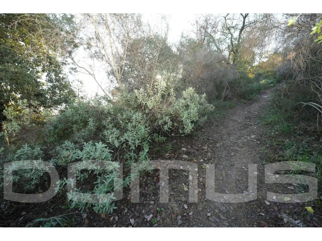 Terreno rústico en venta en Sant Vicenç Dels Horts, imagen 11