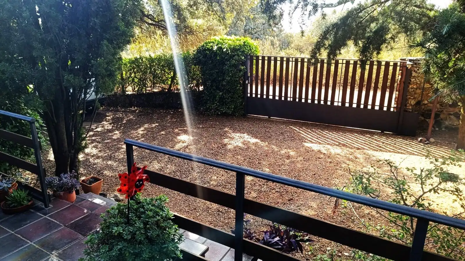 Terrassa de Casa o xalet en venda en Palacios del Pan amb Calefacció, Jardí privat i Terrassa