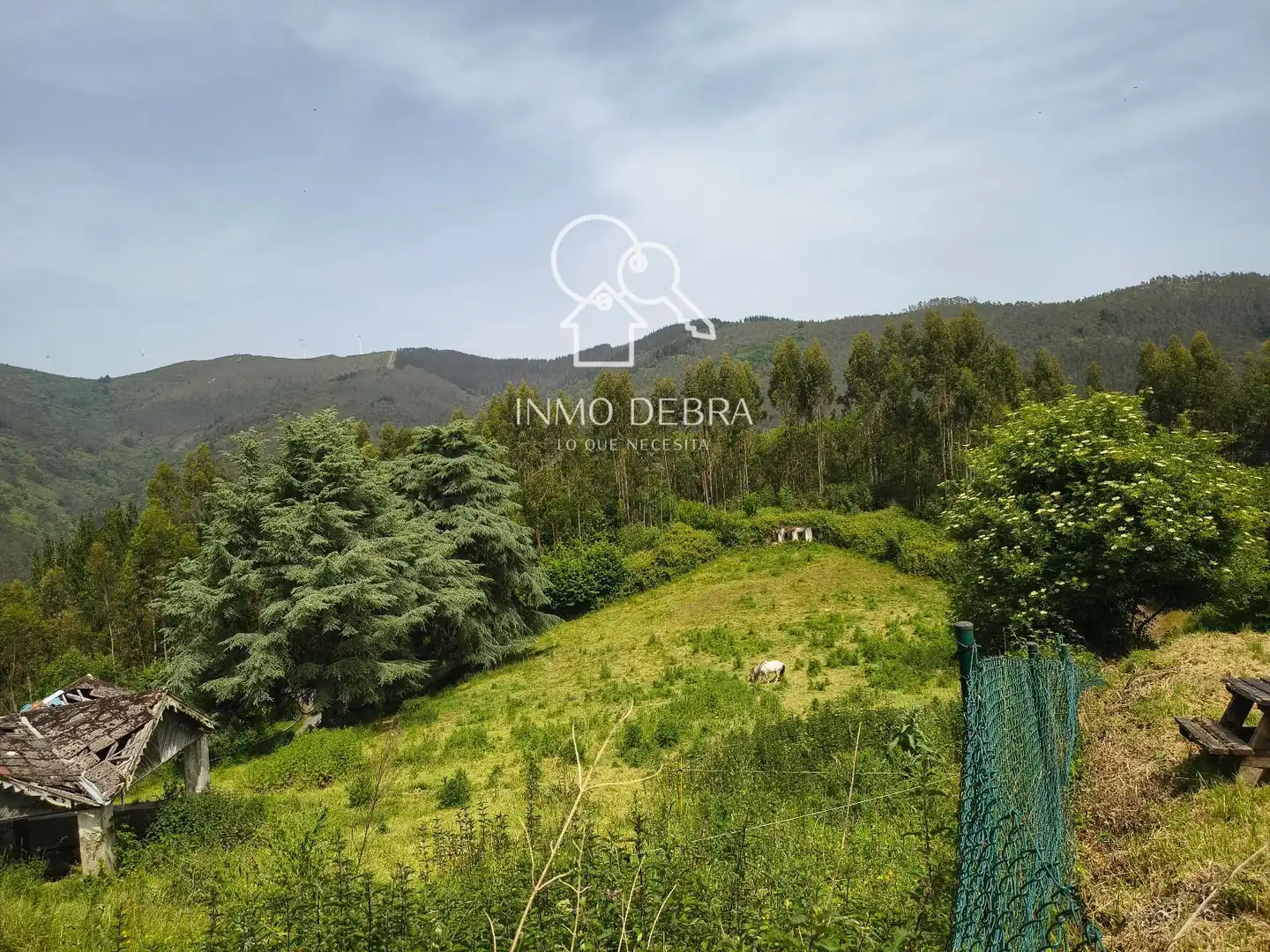 Casa o chalet en venta en Salas con Calefacción y Terraza