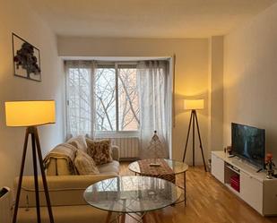 Living room of Apartment to rent in  Madrid Capital  with Heating, Microwave and Pets allowed