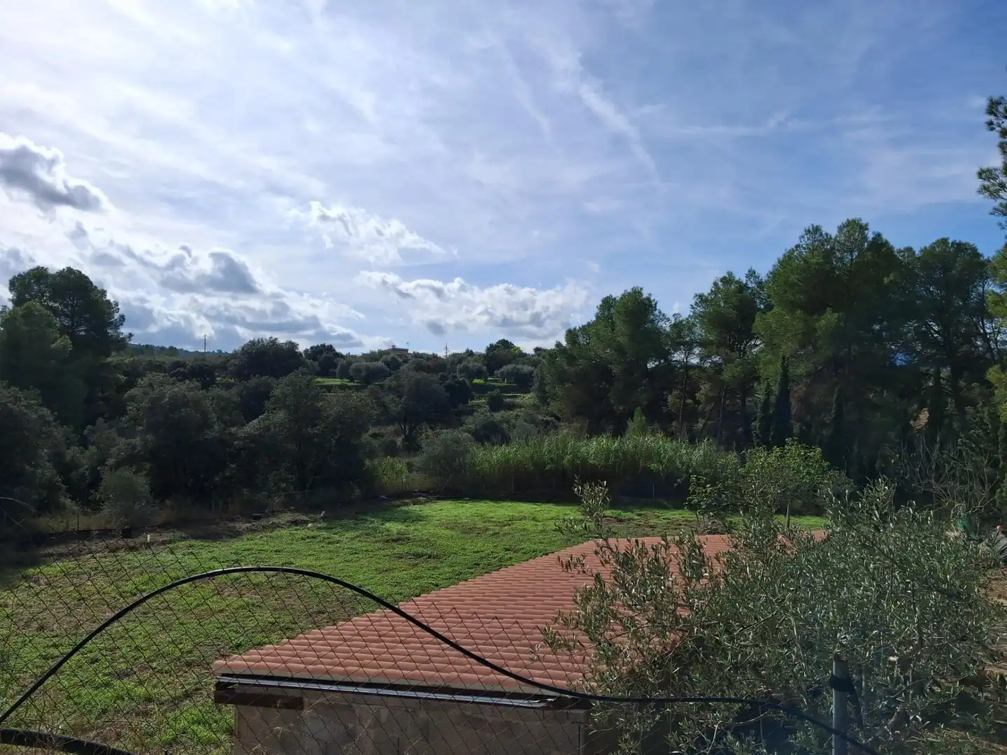 Rural land for sale in Ginestar, imagen 39