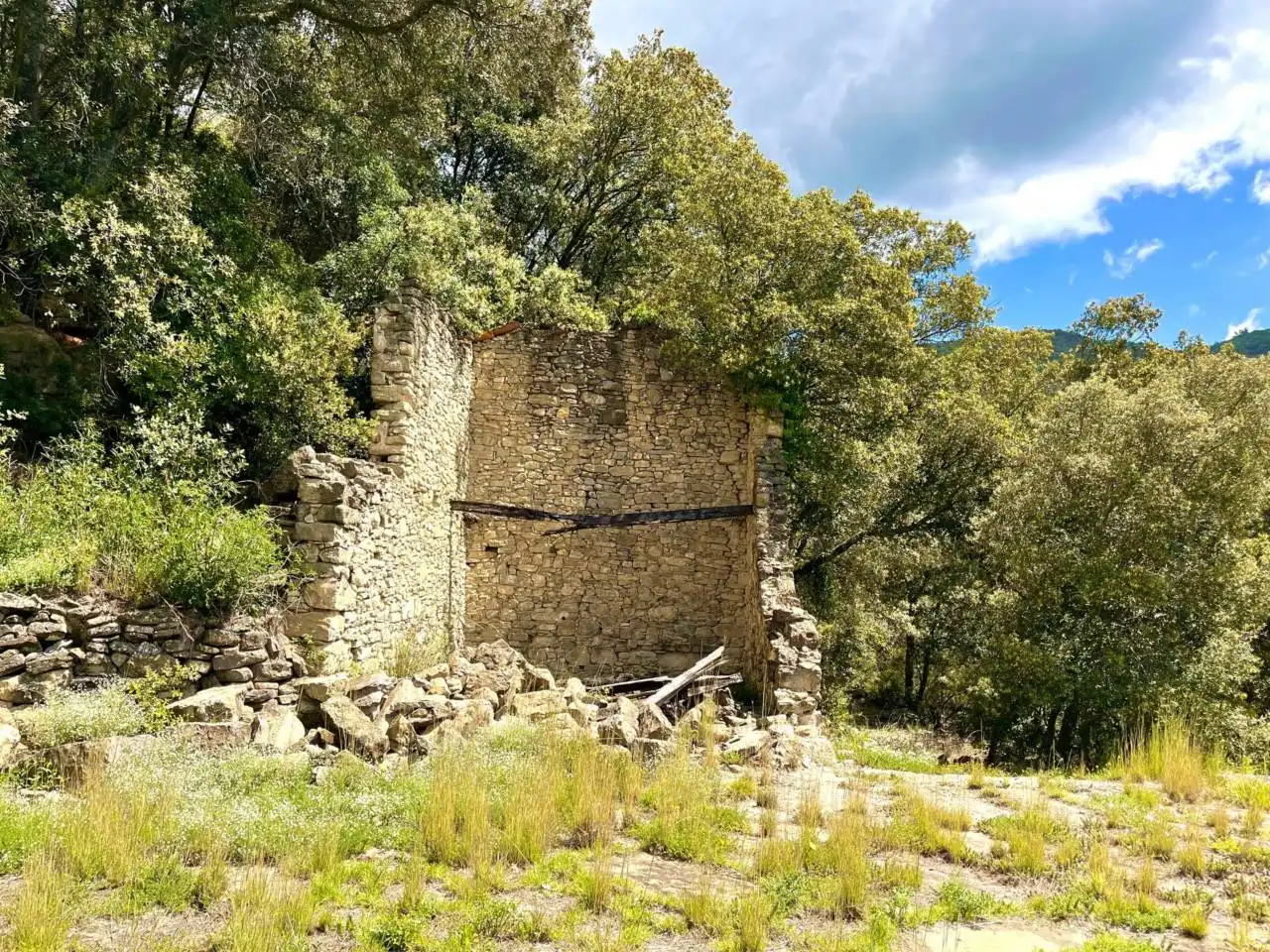 Vista exterior de Finca rústica en venta en Sant Aniol de Finestres con Calefacción, Jardín privado y Terraza