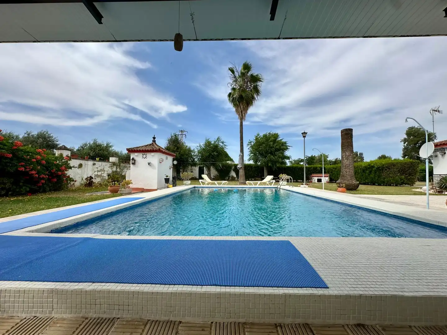 Swimming pool of Houses for sale in Paradas