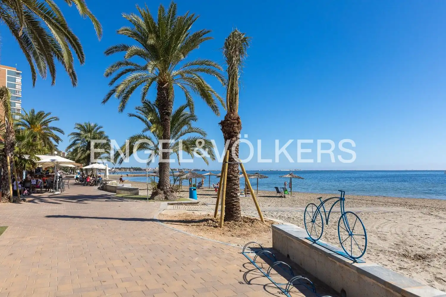 Vista exterior de Casa o chalet en venta en San Pedro del Pinatar con Aire acondicionado, Calefacción y Jardín privado