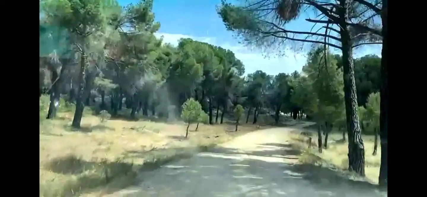 Terreny rústic en venda a Navahoncil, imagen 18