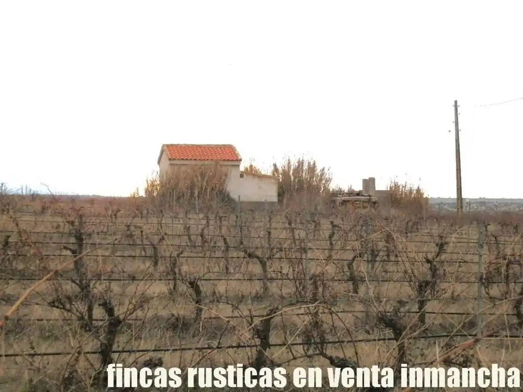 Terreni e lotti in vendita a Sonseca, imagen 12