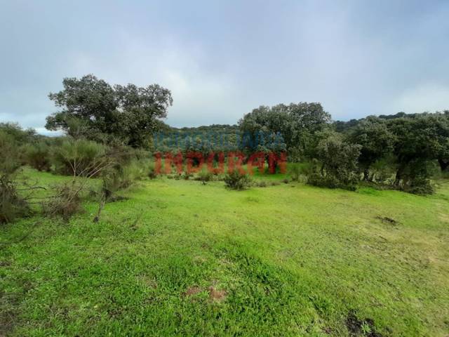 Finca rústica en Venta en Millanes