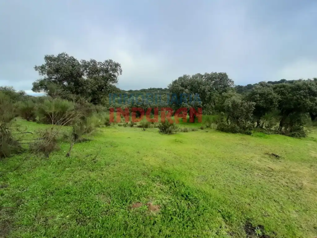 Finca rústica en venta en Millanes