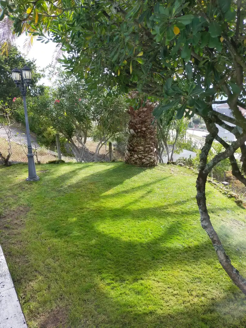 Jardín de Casa o chalet en venta en Coles con Calefacción, Jardín privado y Terraza