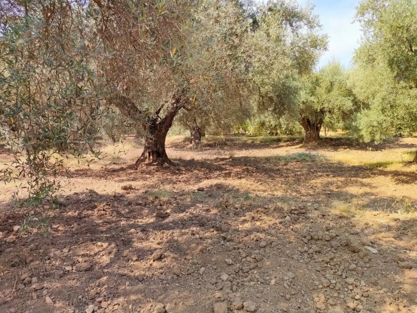 Grundstücke und Bauplätze zum Verkauf in Ugíjar, imagen 6