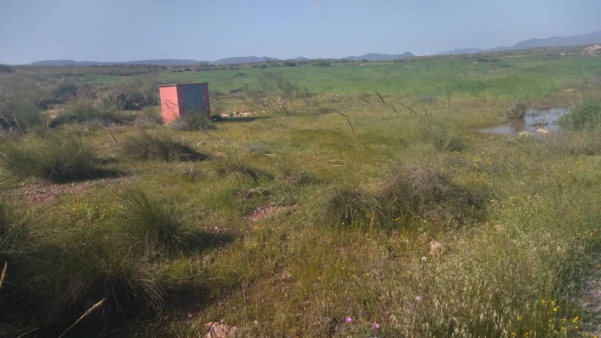 Terreny rústic en venda a San Isidro - Campohermoso, imagen 10