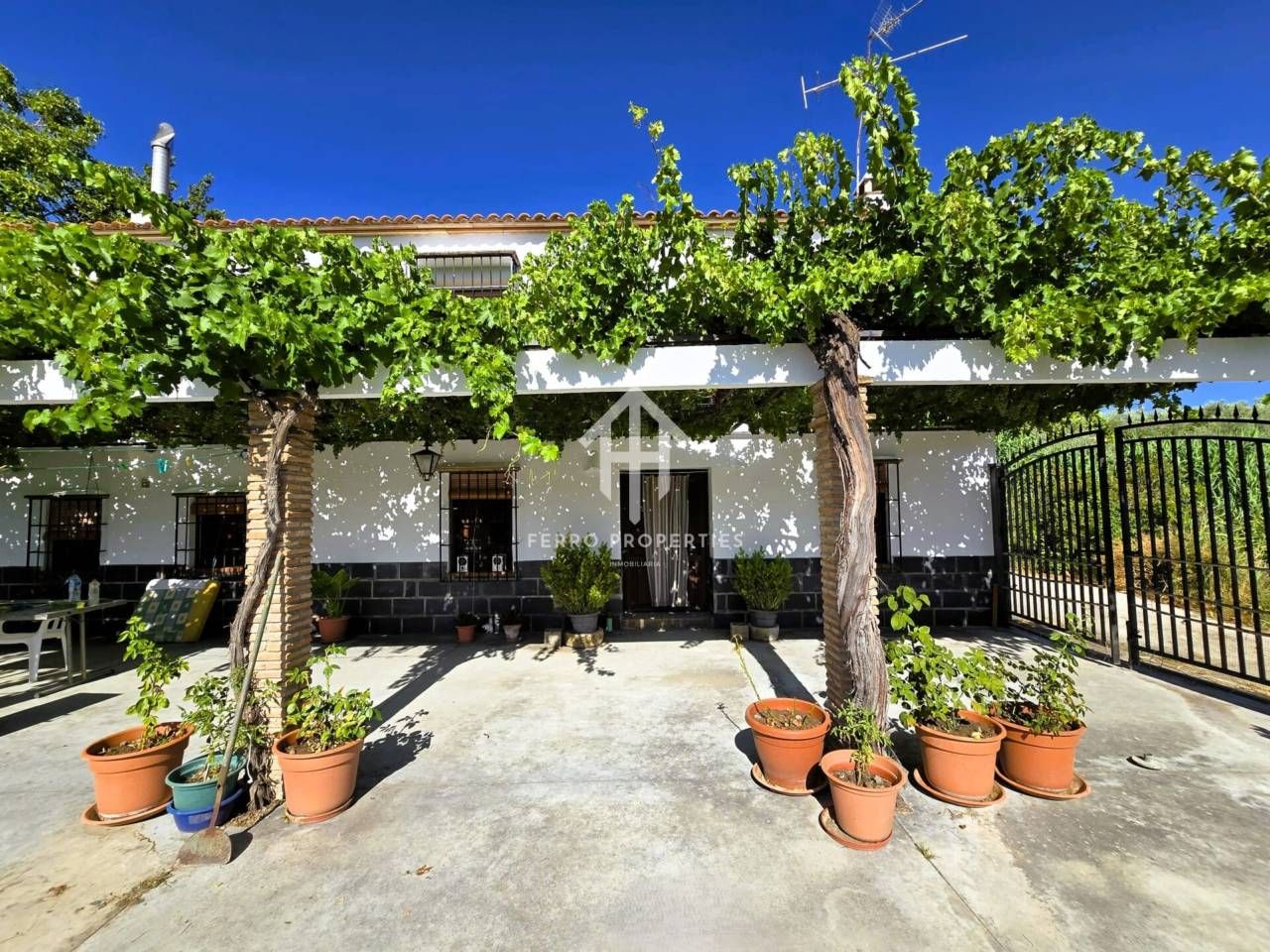 Jardí de Casa o xalet en venda en Salar amb Jardí privat, Terrassa i Piscina