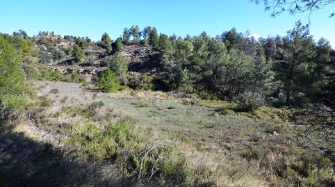OCASION FINCA RUSTICA DE SECANO DE 2,4 HAS EN ASCO Ribera dEbre, immagine 2