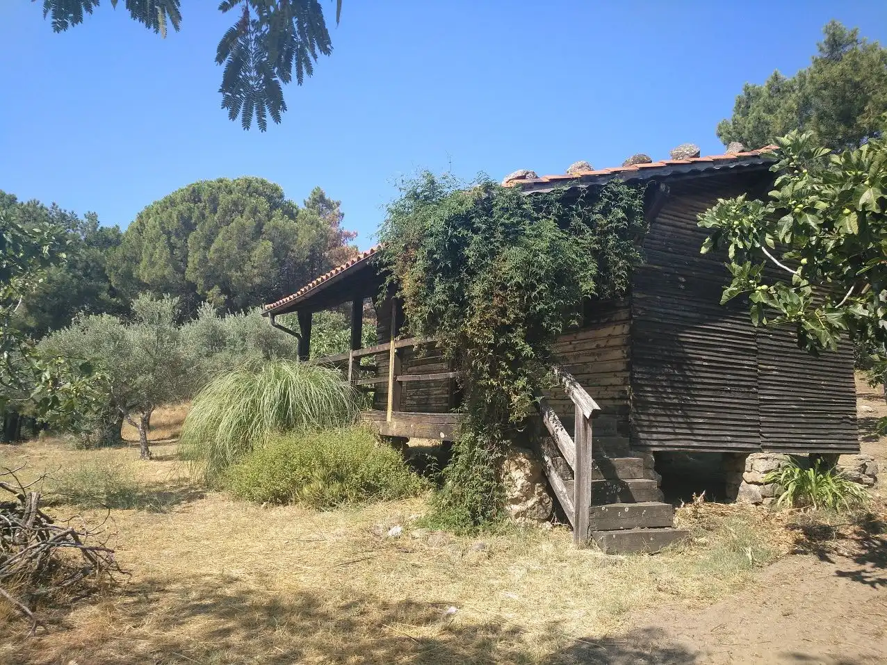 Casa rústica amb piscina en venda a AV-924 20, imagen 14