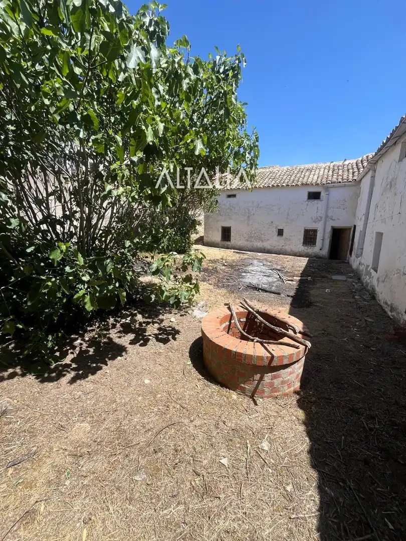 Garten von Einfamilien-Reihenhaus zum Verkauf in Campos del Paraíso