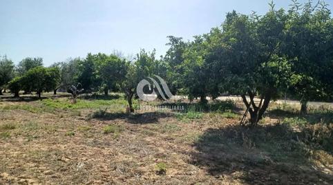 Photo 5 of Country homes for sale in Villarrubia,  Córdoba Capital