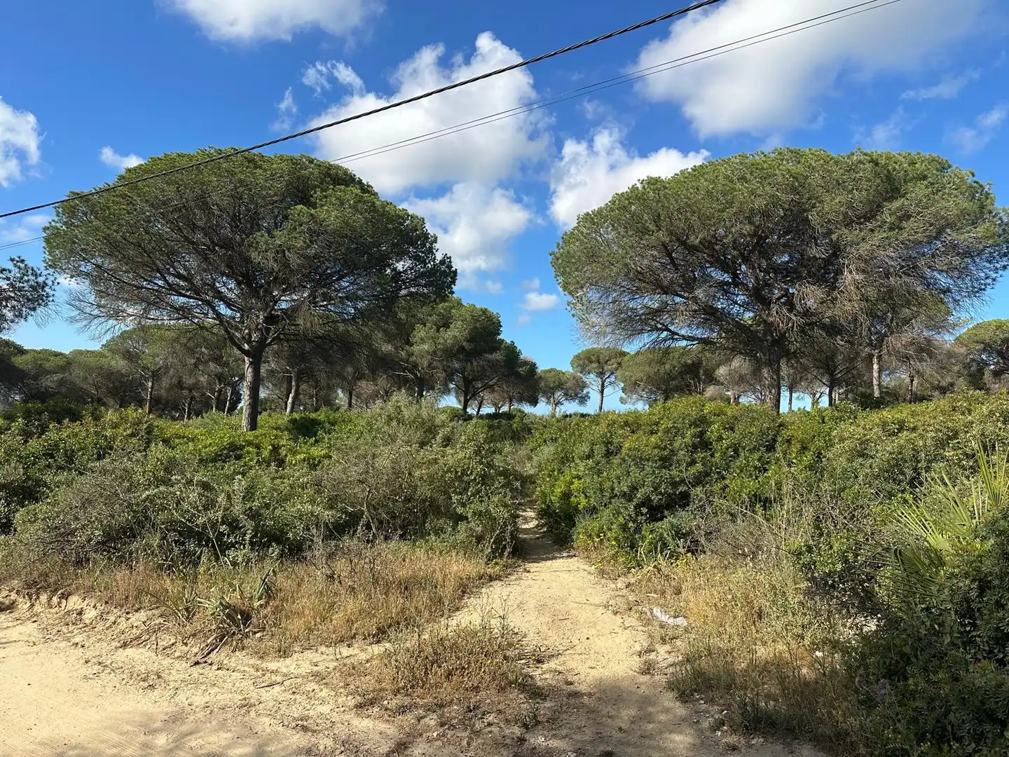 Rural land for sale in Las Lagunas - Campano, imagen 2