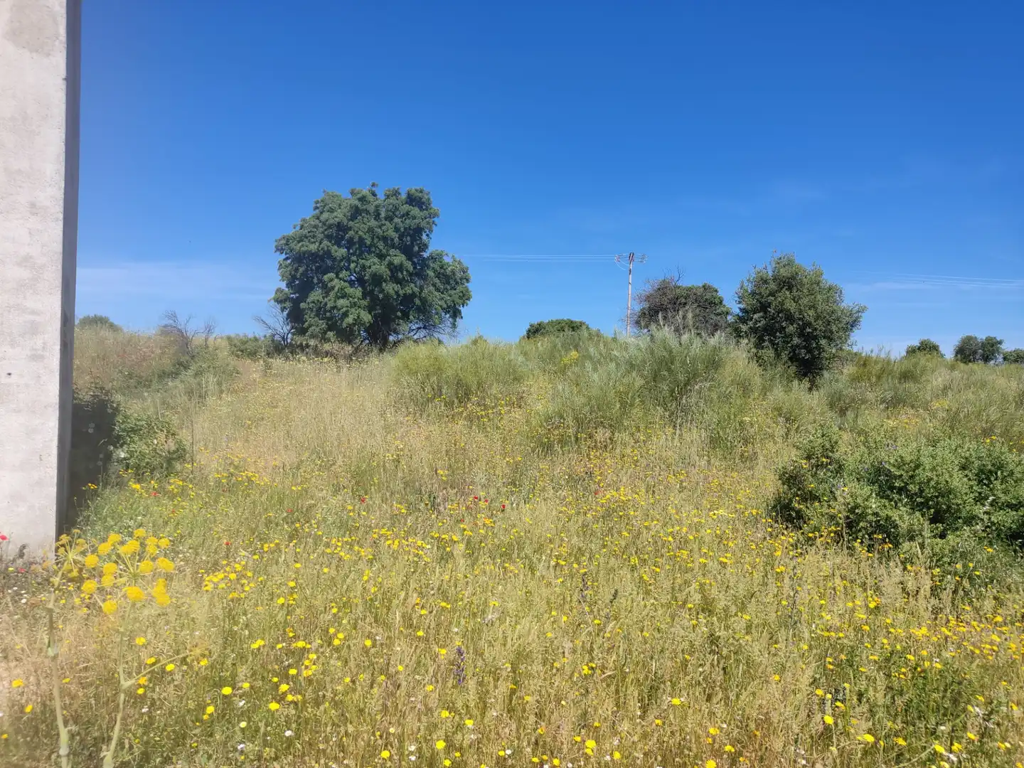Land for sale in Navalcarnero