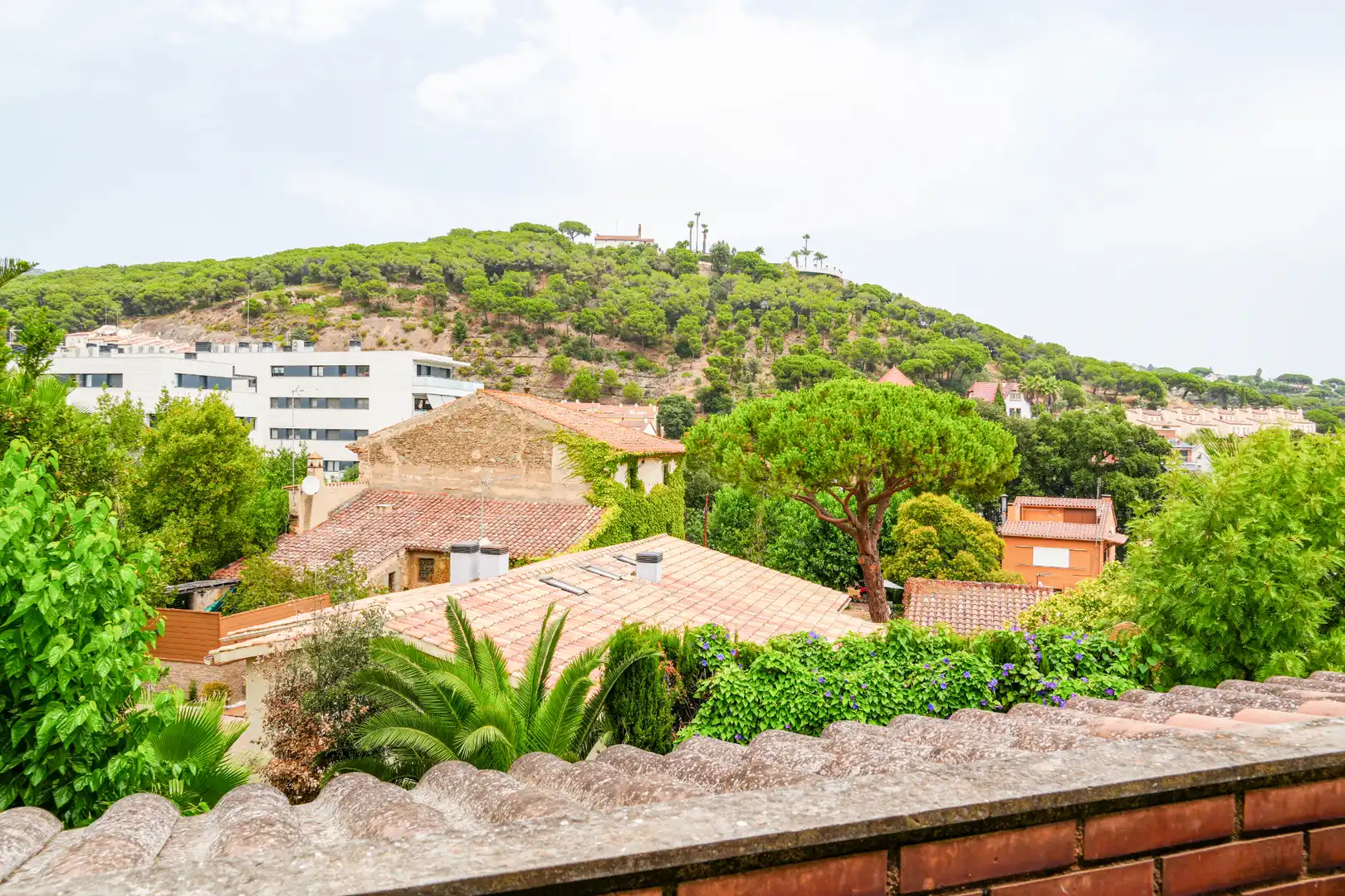 Maison mitoyenne avec terrasse à vendre à Avinguda de Sant Andreu, imagen 24