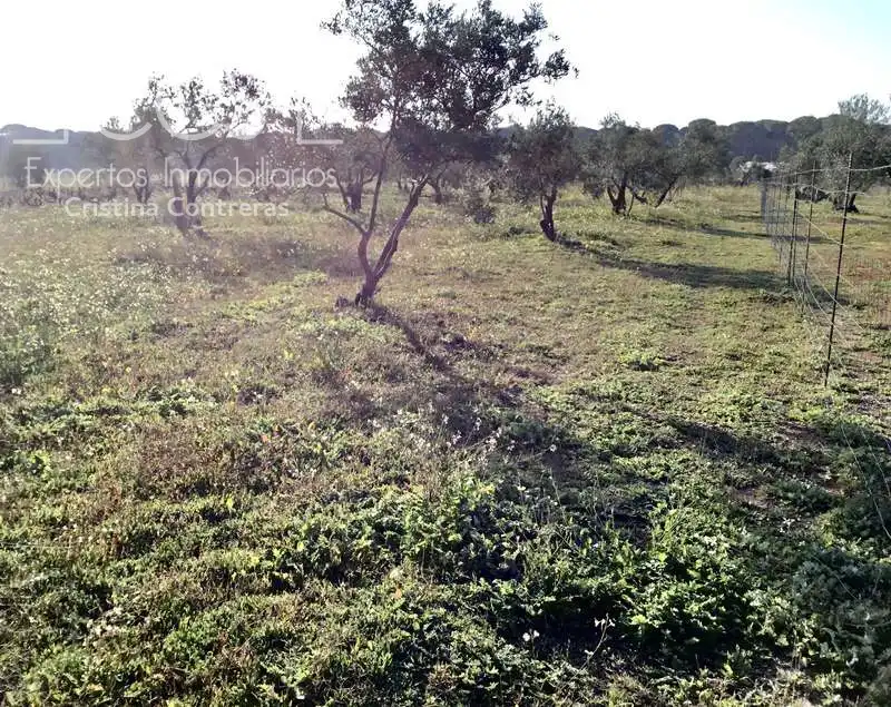 Finca rústica en venta en Almonte