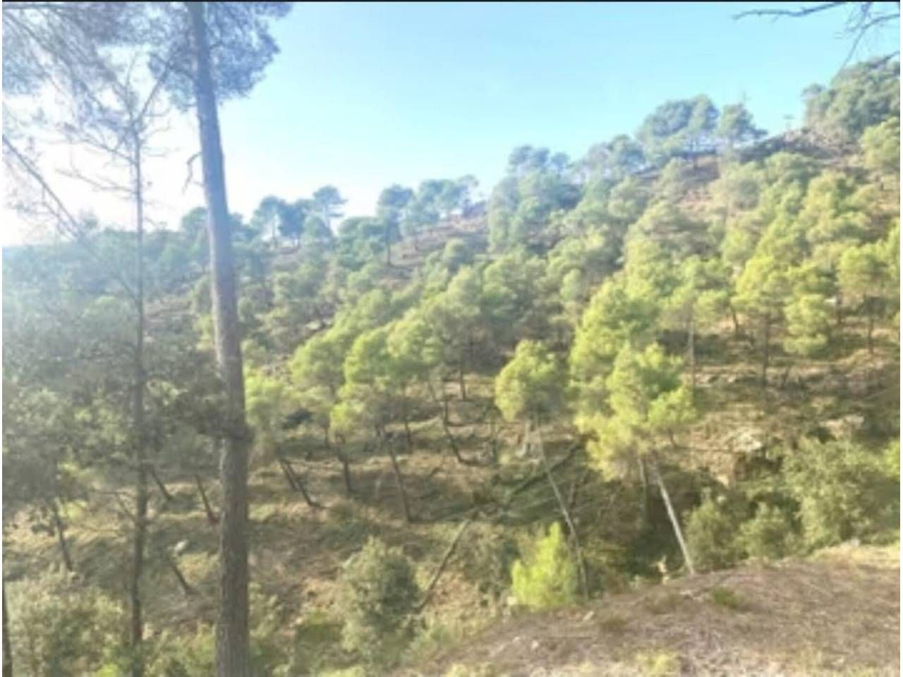 Industrial land for sale in Castellar del Vallès