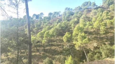 Photo 2 of Industrial land for sale in Bosc, Airesol, Barcelona