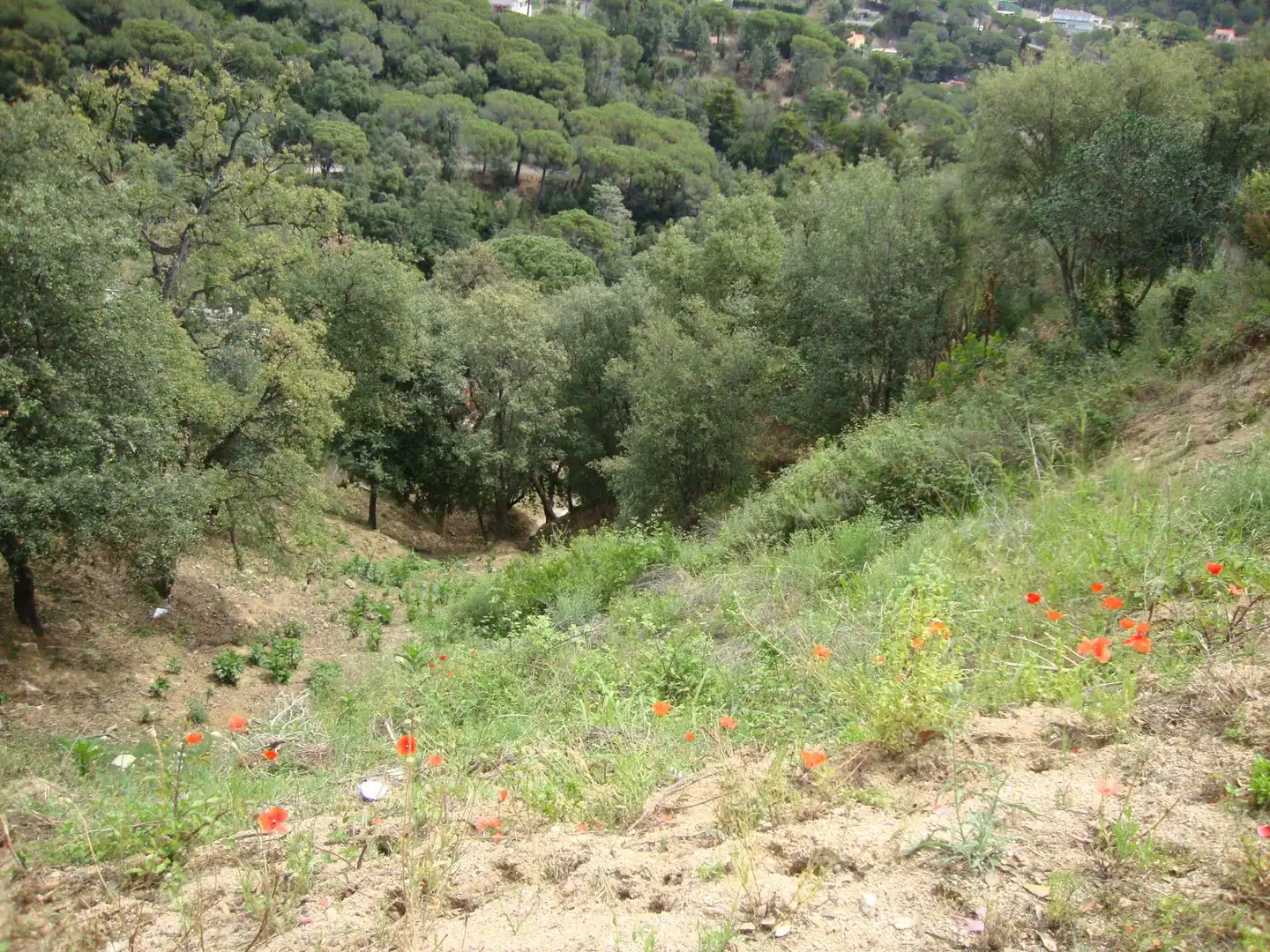 Wohnbaugrundstück zum Verkauf in Sant Cebrià de Vallalta, imagen 4