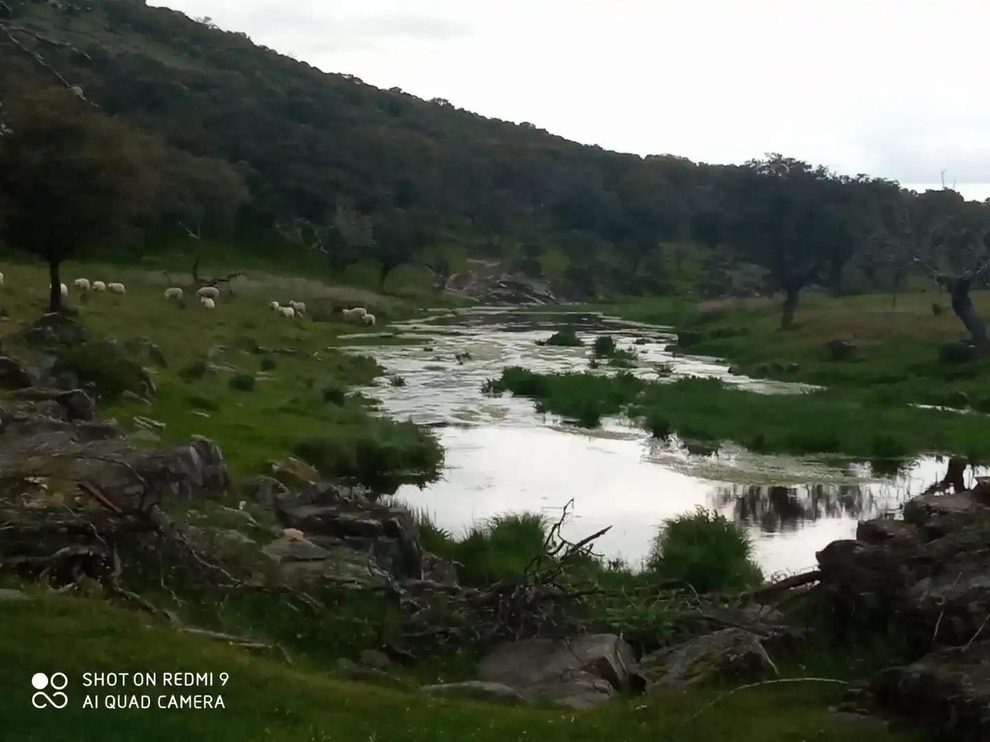 Vista exterior de Finca rústica en venta en Aldeacentenera con Jardín privado