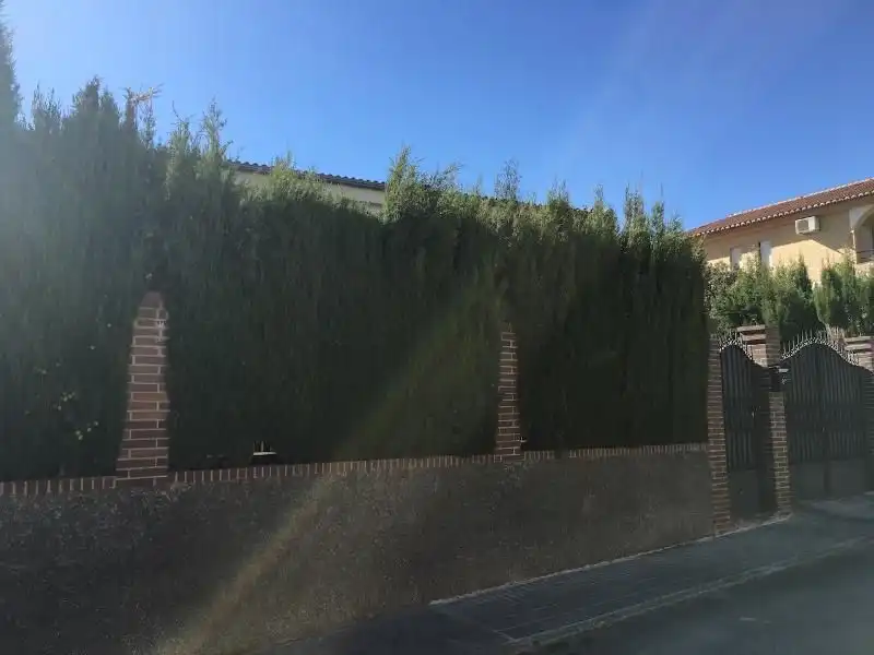 Exterior view of Flat for sale in Gójar