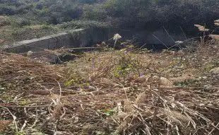 Finca rústica en venta en Jérica