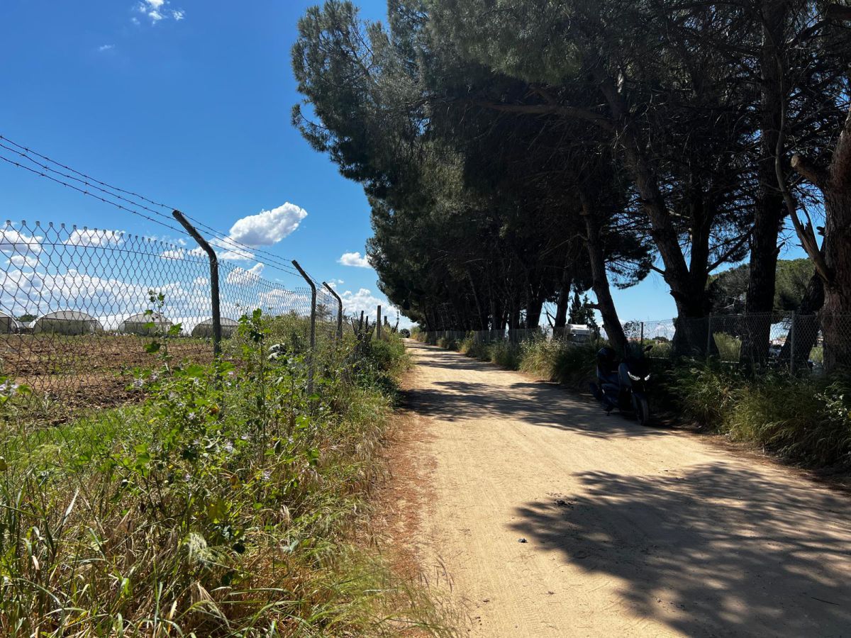 Country house zum verkauf in Los Palacios y Villafranca