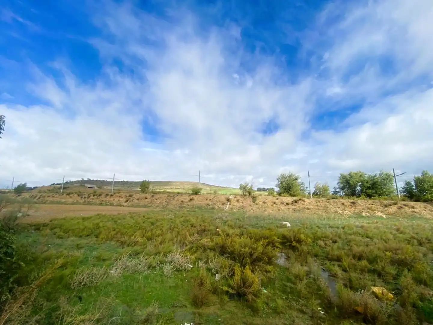 Nave industrial en venta en Pinto