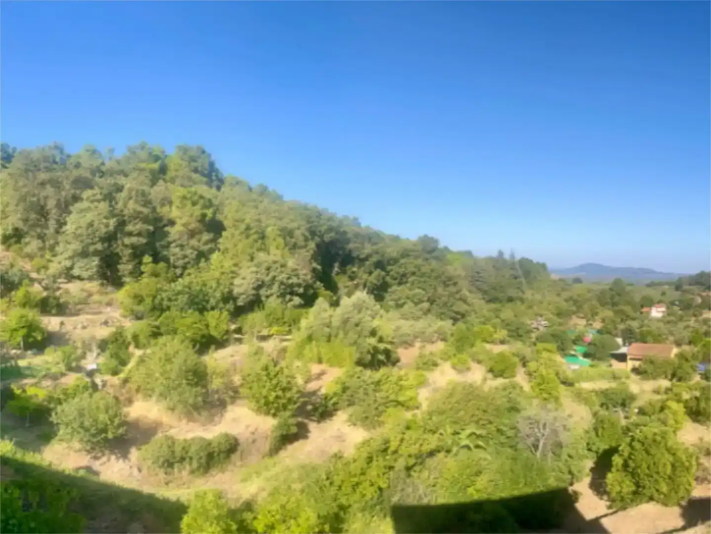 Casa o xalet en venda en Torre de Don Miguel amb Balcó
