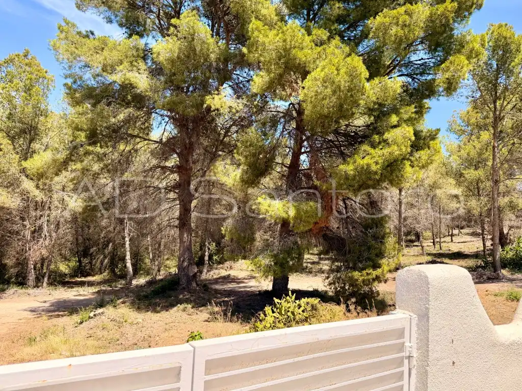 Casa o xalet en venda en Sant Pere de Ribes