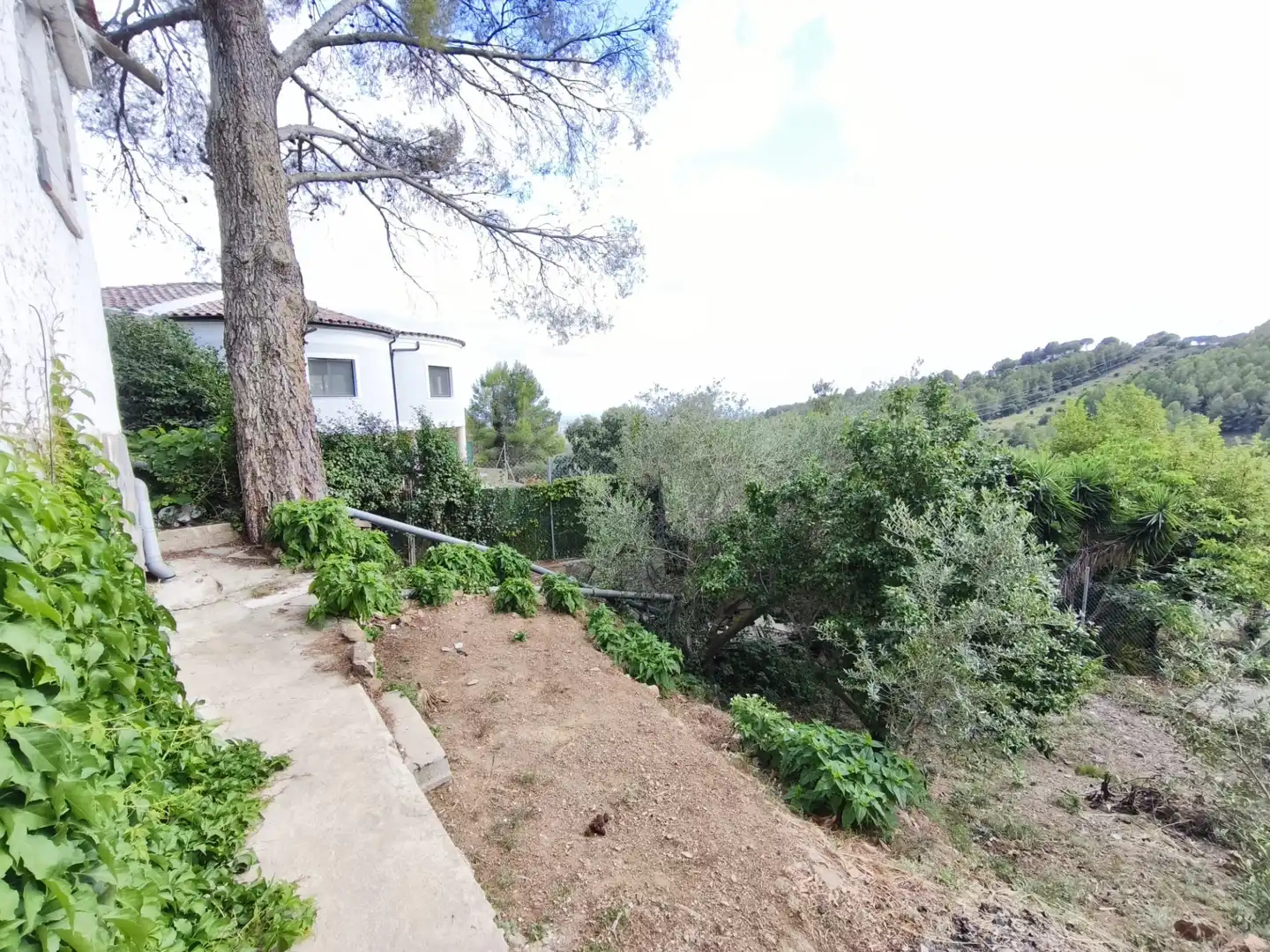 Chalet con terraza en venta en Carrer Arbolí 22, imagen 18