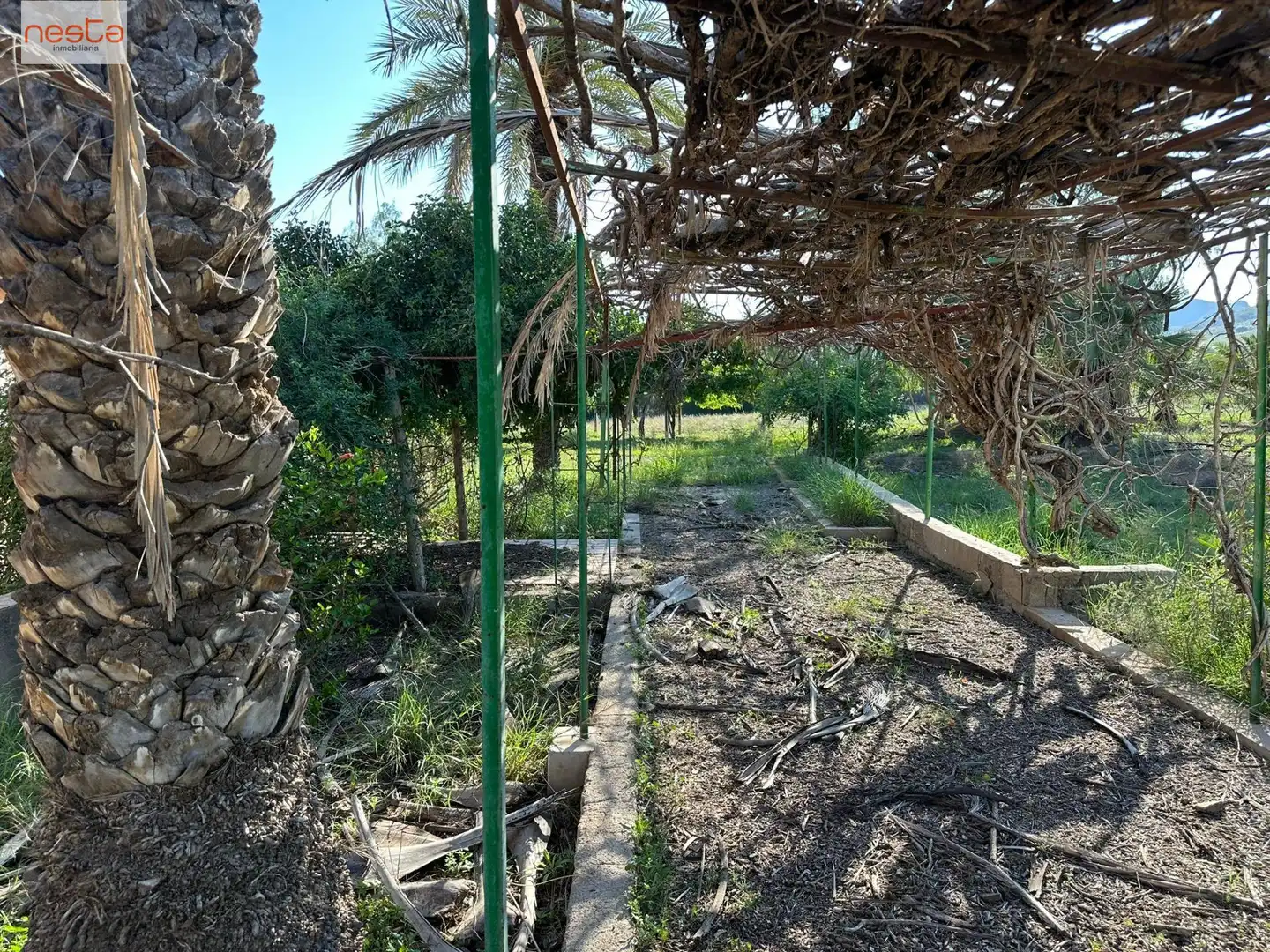 Terreni e lotti in vendita a Pedanías Sur, imagen 16