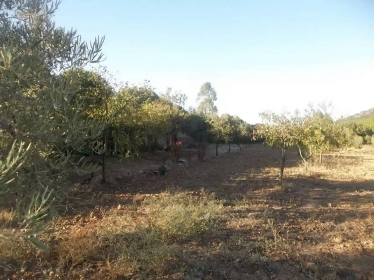 Terreno en venta en Navalvillar de Pela