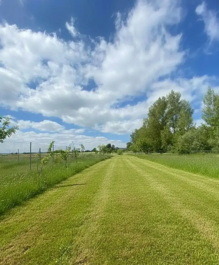 Casa o chalet en venta en Merindad de Río Ubierna con Jardín privado
