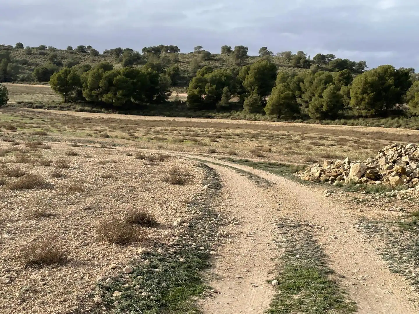 Terreni e lotti in vendita a La Milagrosa, imagen 17
