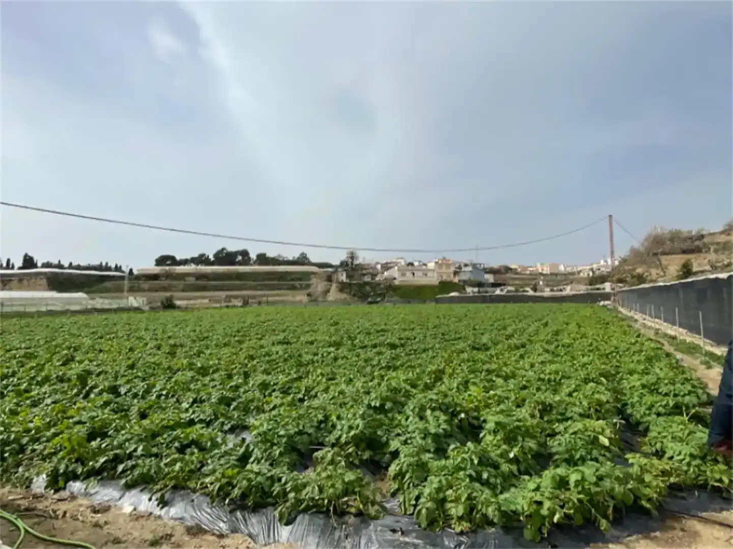 Finca rústica en venda en Algarrobo